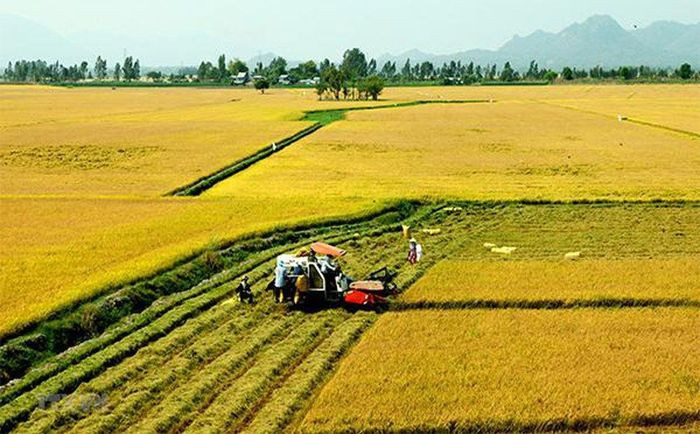 1 Sao Bằng Bao Nhiêu M2? Các Đơn Vị Đo Lường Đất