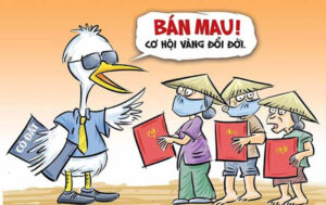 Cò đất là gì? Có nên mua đất qua cò hay không?