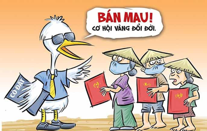 Cò đất là gì? Có nên mua đất qua cò hay không?
