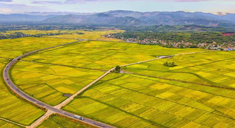 Có Nên Mua Đất Đồng Sở Hữu Hay Không? Lưu ý gì khi mua đất đồng sở hữu?