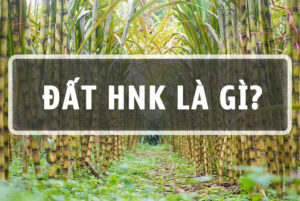 Đất HNK là gì? Đất HNK và đất CLN khác nhau như thế nào?