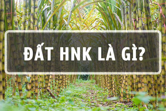 Đất HNK là gì? Đất HNK và đất CLN khác nhau như thế nào?