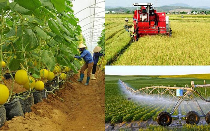 Đất nông nghiệp có được chuyển sang đất thổ cư hay không?