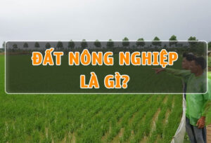 Đất nông nghiệp là gì?