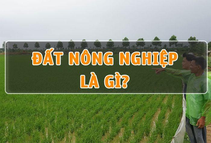Đất nông nghiệp là gì?