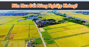 Đầu tư vào đất nông nghiệp để phát triển bất động sản
