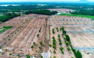 Dự Án Ma Là Gì? Cách Nhận Biết Dự Án Ma Trong Bất Động Sản