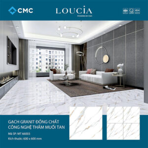 Gạch Granite thấm muối tan