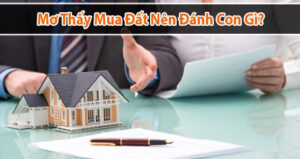 Giấc mơ liên quan đến đất đai