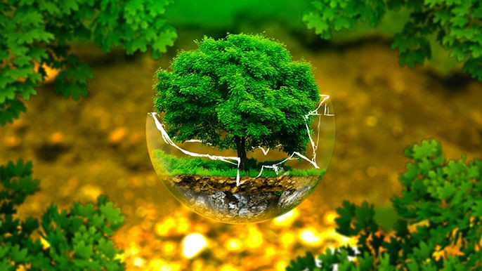 Môi trường là gì? Khái niệm pháp luật bảo vệ môi trường
