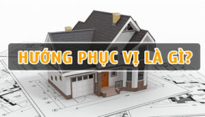 Phúc Vị là gì? Ý nghĩa và ứng dụng trong phong thủy