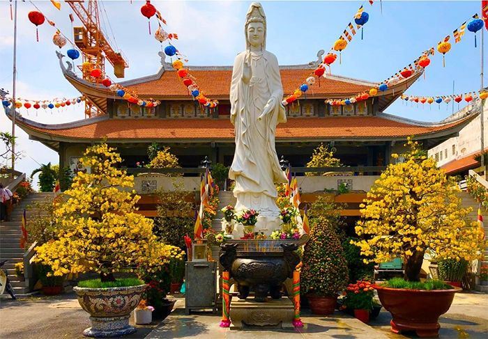 Quy định về sử dụng đất Tín
