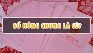 Sổ hồng chung là gì? Những "Rủi Ro" tiềm ẩn mua nhà sổ hồng chung