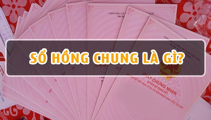 Sổ hồng chung là gì? Những "Rủi Ro" tiềm ẩn mua nhà sổ hồng chung