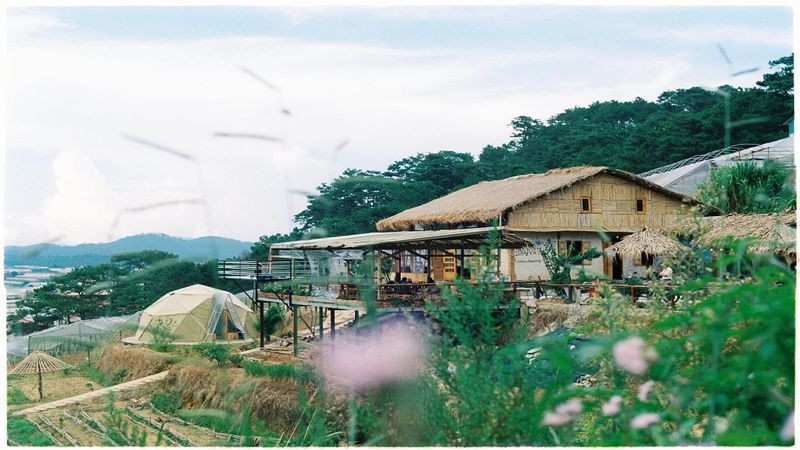 The Organic Life