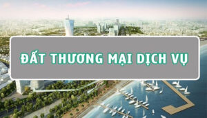 Tổng quan về đất thương mại dịch vụ