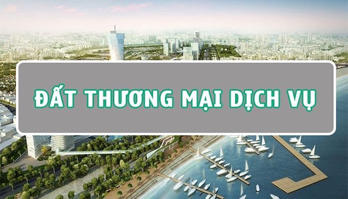 Tổng quan về đất thương mại dịch vụ